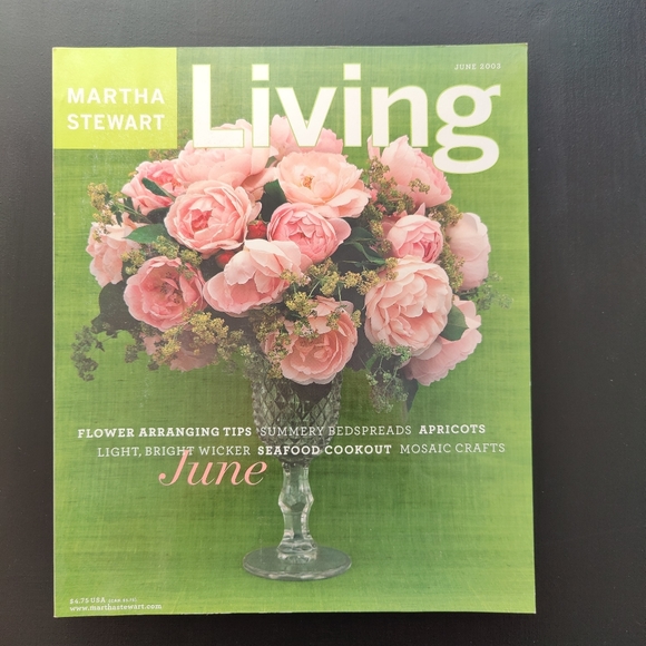 Y2K | Martha Stewart Living magazine June 2003 - Picture 1 of 14